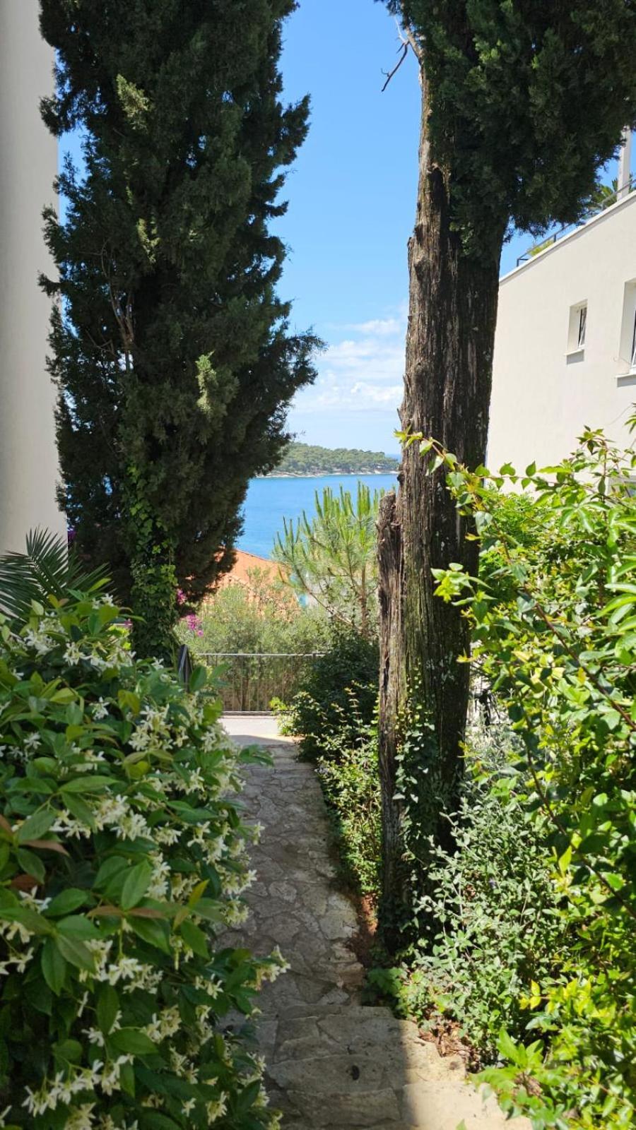 Alpha Cavtat